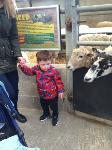 MARCH 2016 - FARM TRIP (37)