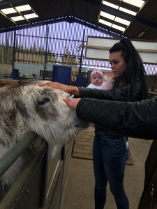 MARCH 2016 - FARM TRIP (94)